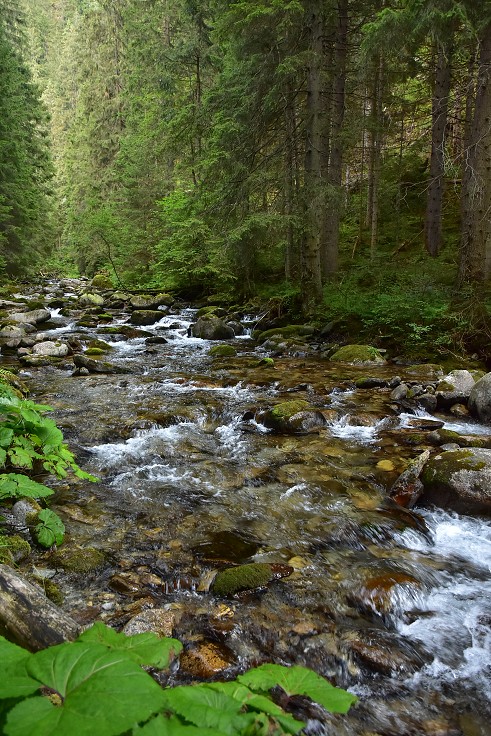 Slovensko - Roháče, Bobrovecká dolina 