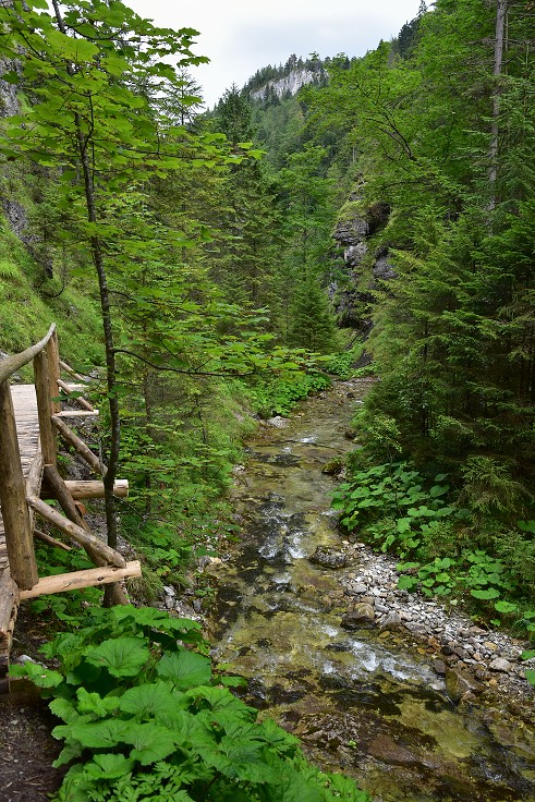 Slovensko - Juráňova dolina, Oravice, Roháče