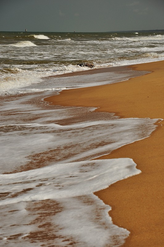 Srí Lanka 2015 - Negombo 