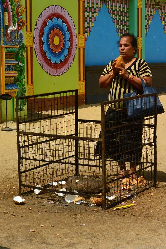 Srí Lanka 2015 - Trincomalee 