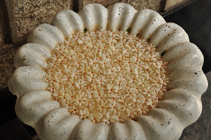 Srí Lanka 2015 - klášter a jeskynní chrámy v Matale 