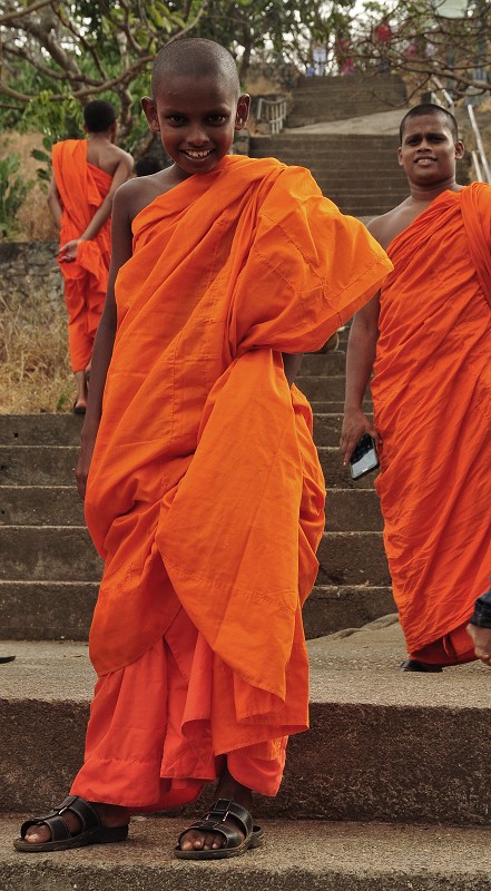 Srí Lanka 2015 - budhist. mniši, Dambulla 