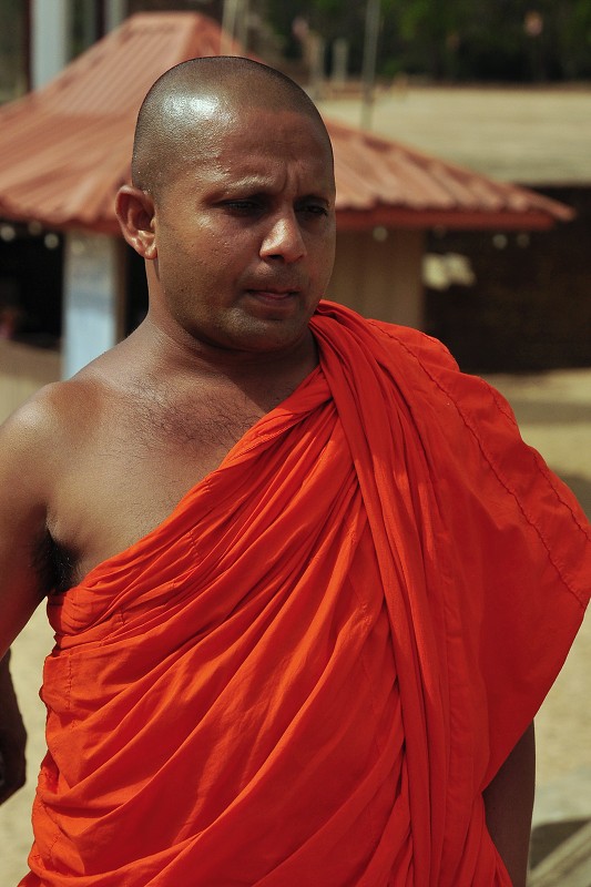 Srí Lanka 2015 - budhist. mnich, Anurádhapura 
