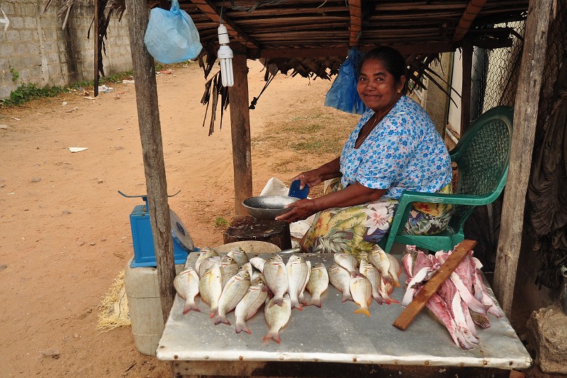 Srí Lanka 2015 - pouliční prodavačka, Negombo 