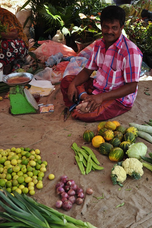 Srí Lanka 2015 - na trhu - Negombo 