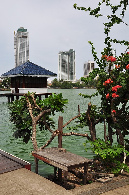 Srí Lanka 2015 - Beira Lake South, Colombo 