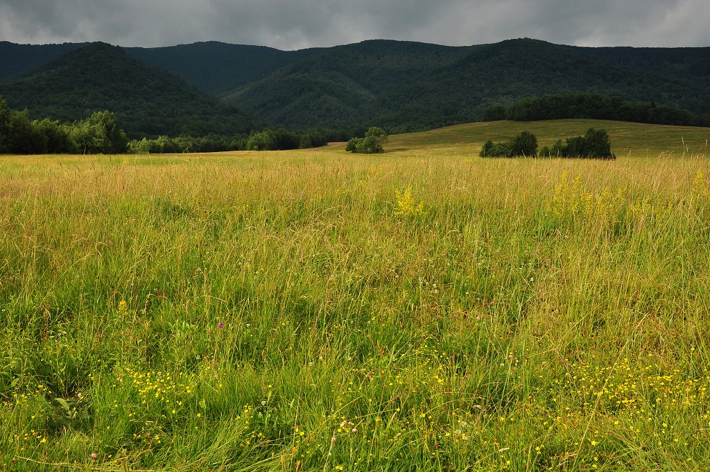 Východní Evropa  - okolí Runiny, n.p. Poloniny, vých. Slovensko 