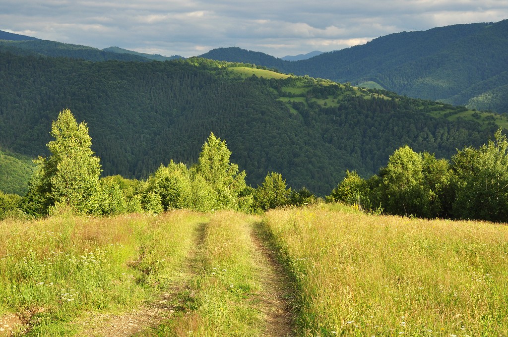 Východní Evropa  - polonina Svidovec nad Kvasy, Ukrajina 