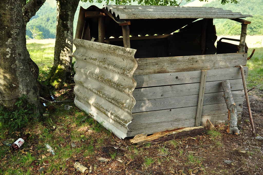 Východní Evropa  - tábořiště, pol. Svidovec, Ukrajina 