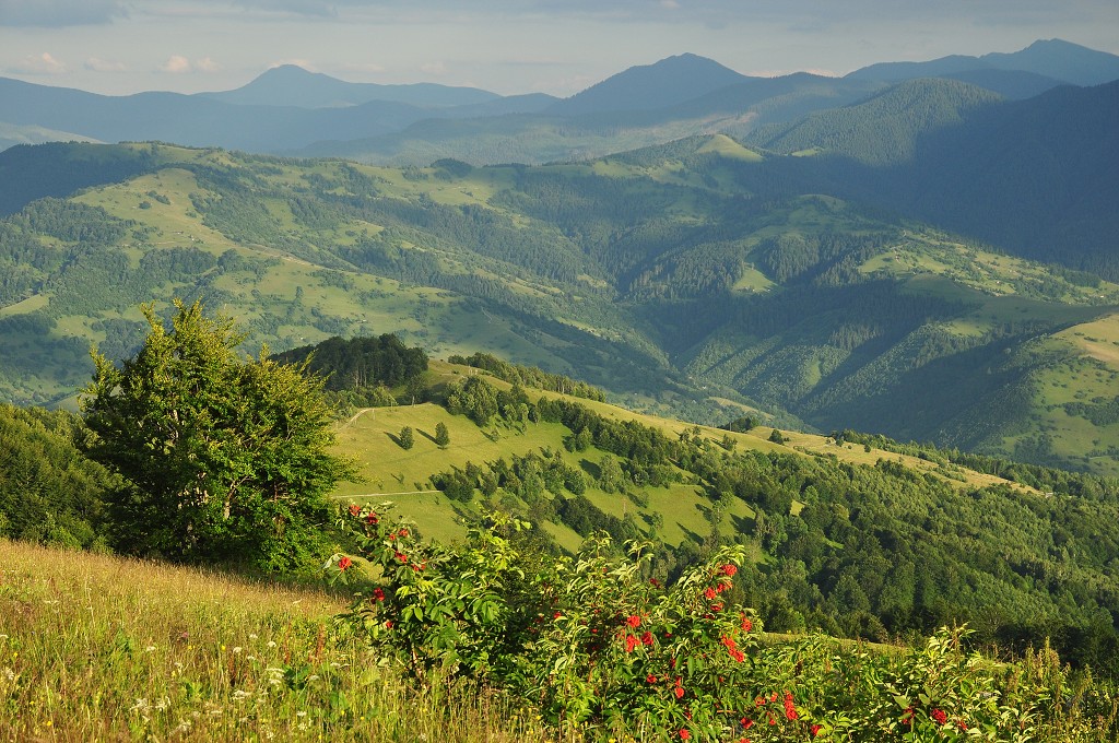 Východní Evropa  - pol. Svidovec nad Rachovem, Ukrajina 