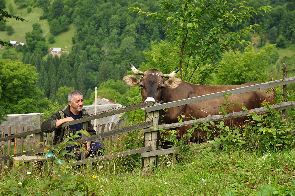 Východní Evropa  - horní část Rachova, Ukrajina 