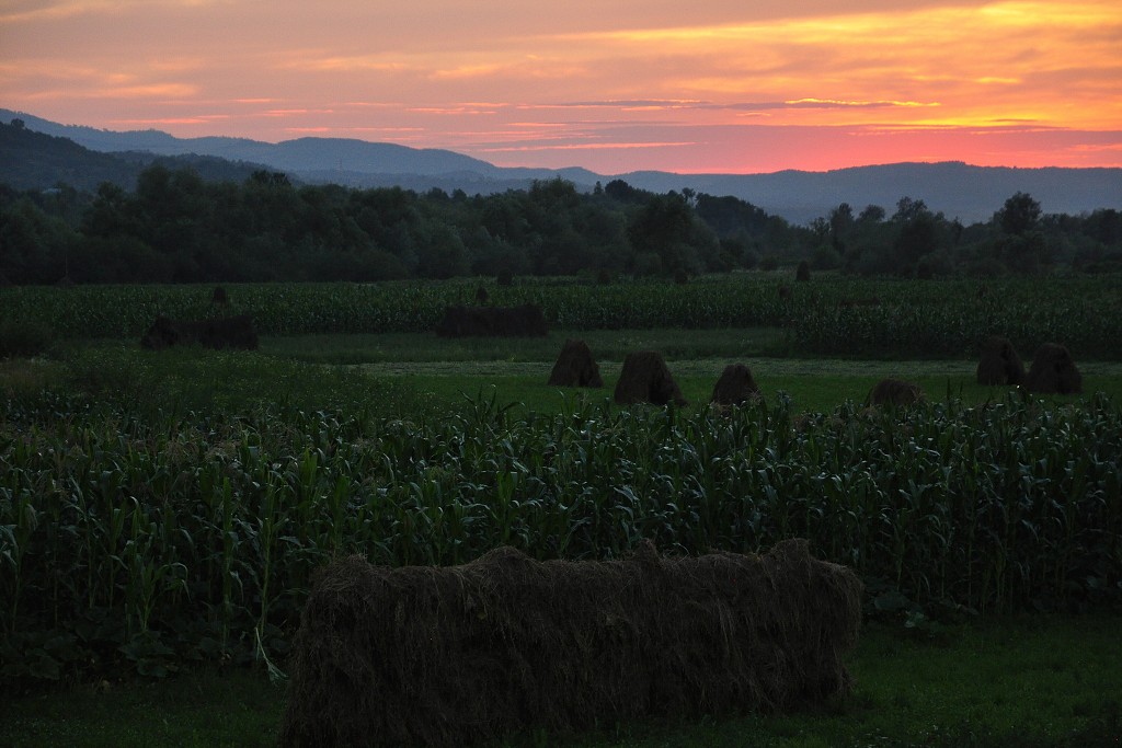 Východní Evropa  - Bârsana, kraj Maramureš, Rumunsko 