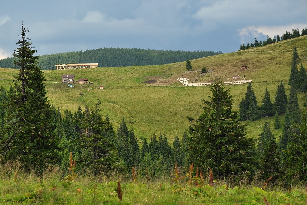 Východní Evropa  - poh. Maramureš v okolí sedla Prislop, Rumunsko 