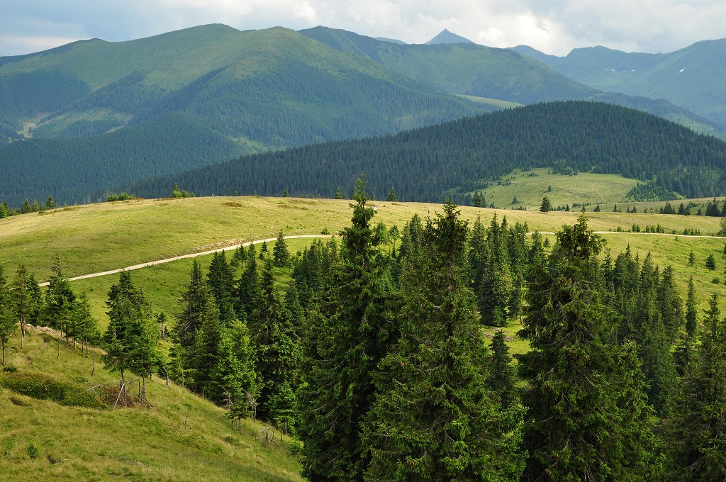 Východní Evropa  - poh. Maramureš v okolí sedla Prislop, Rumunsko 