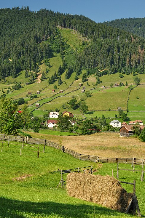 Východní Evropa  - údolí Sadova, u Câmpulung Moldovenesc, Rum. 