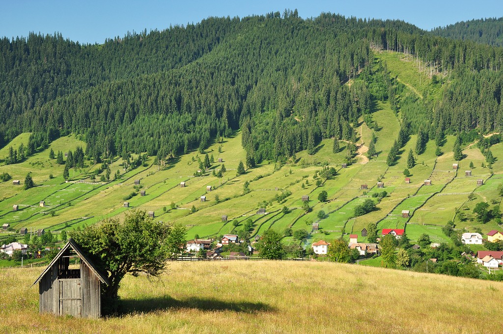 Východní Evropa  - údolí Sadova, u Câmpulung Moldovenesc, Rum. 