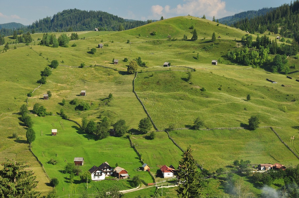 Východní Evropa  - údolí Sadova, u Câmpulung Moldovenesc, Rum. 