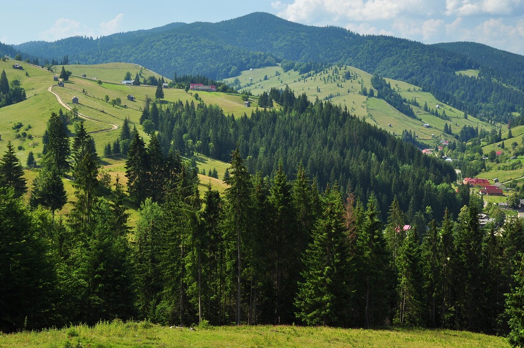 Východní Evropa  - mezi Vatra Moldovitei a Sucevitou, Rumunsko 