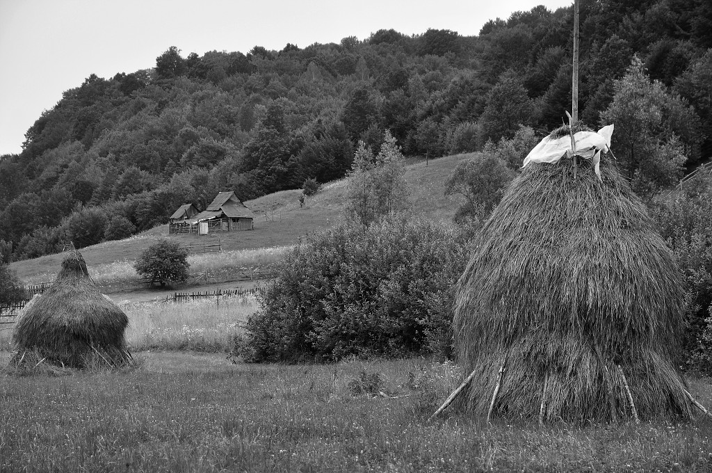 Východní Evropa  - kraj Maramureš u Poiana Botizii, Rumunsko 