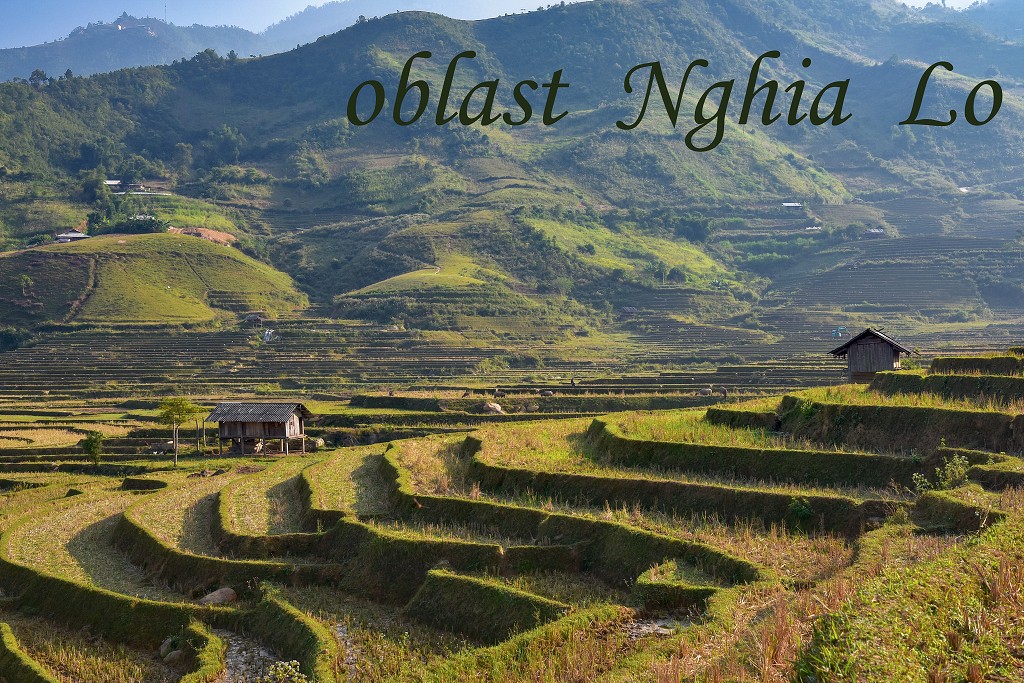 Vietnam - rýžová pole u Tú Le, sz. od Nghia Lo