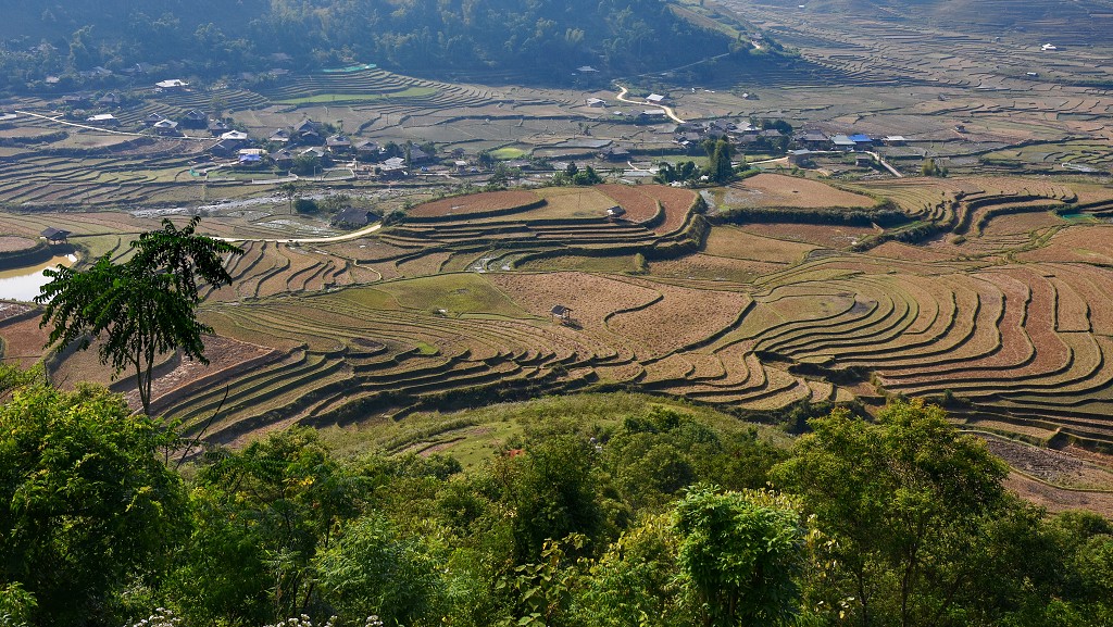 Vietnam - rýžová pole u Tú Le, sz. od Nghia Lo