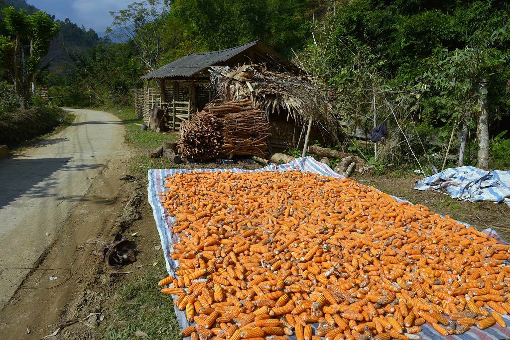 Vietnam - vesnice menšiny Dao, sev. od Nghia Lo