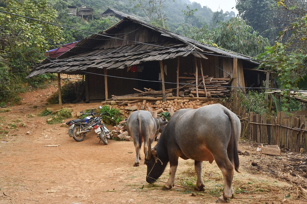 Vietnam - etnická vesnice Suoi Giang, u Nghia Lo