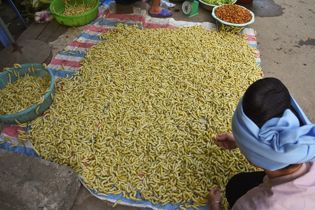 Vietnam - na trhu v Nghia Lo