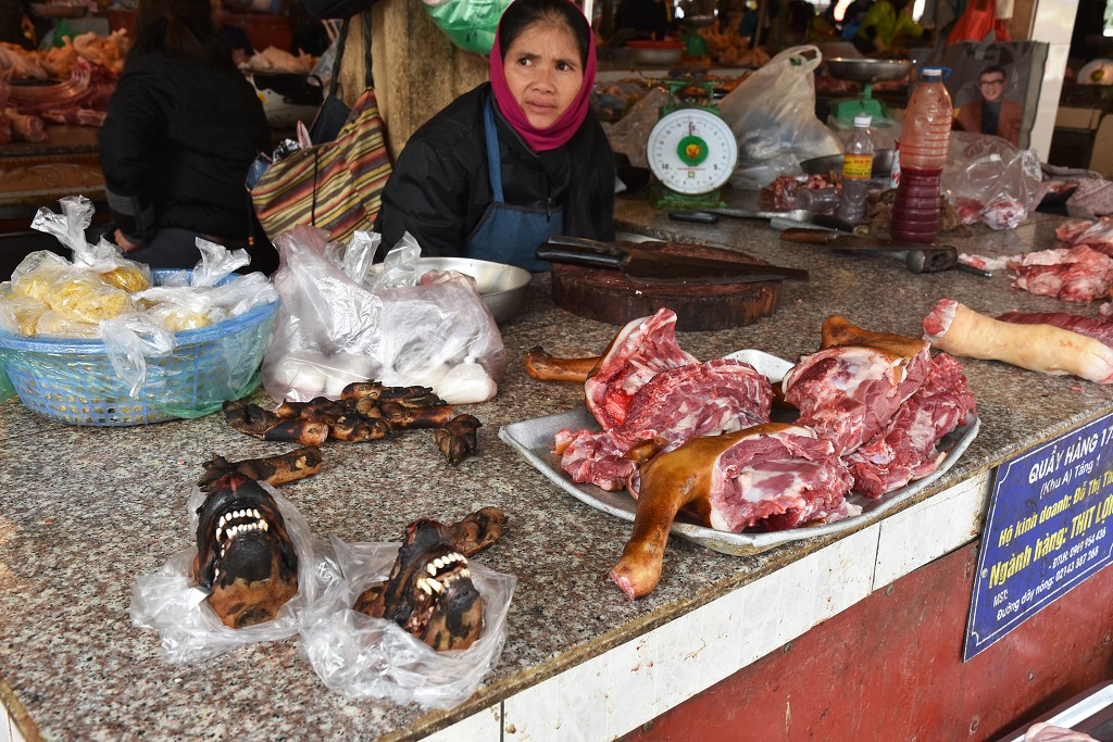 Vietnam - 