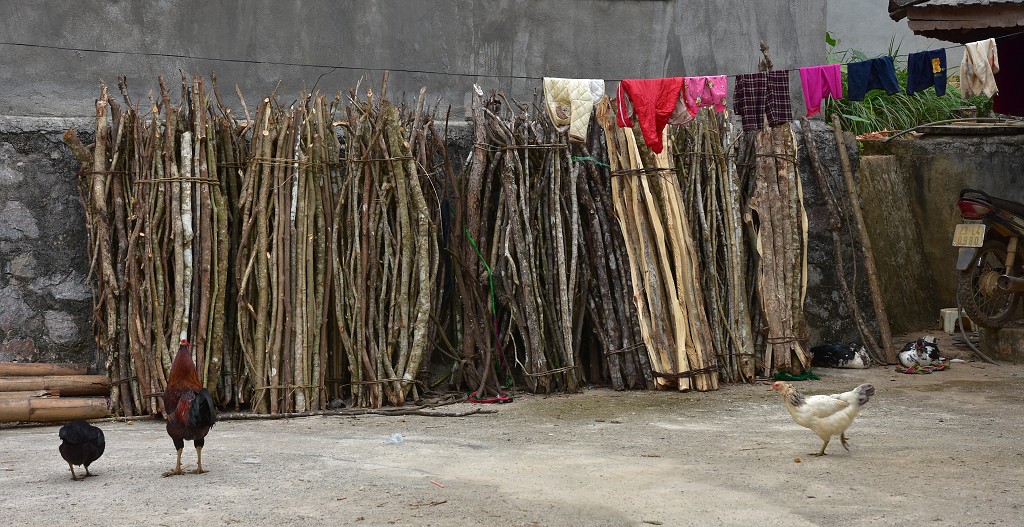 Vietnam - etnická vesnice u Tam Son