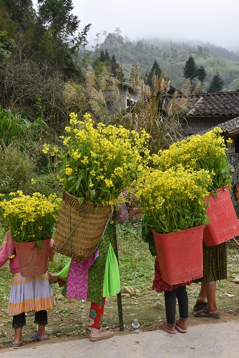 Vietnam - Květinové etnické slavnosti, severně od Yen Minh