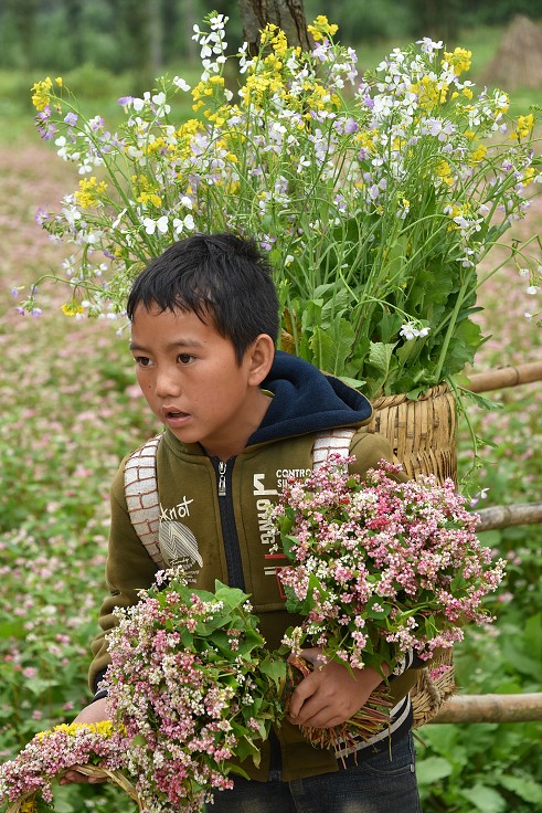 Vietnam - Květinové etnické slavnosti, severně od Yen Minh