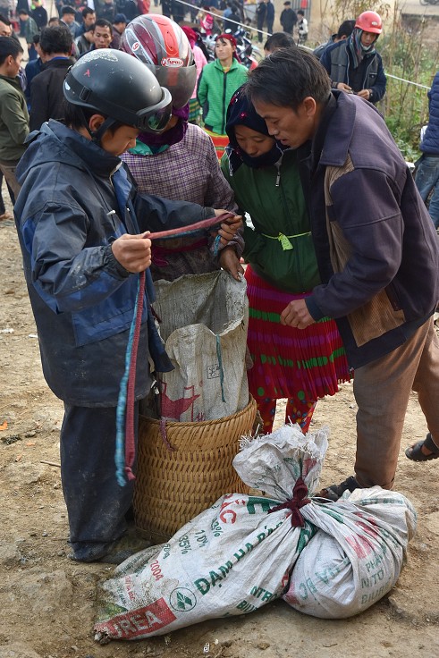 Vietnam - prasata v pytli, nedělní trh, Dong Van