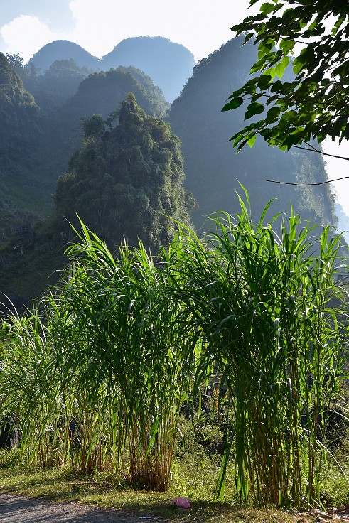 Vietnam - severně od Du Gia