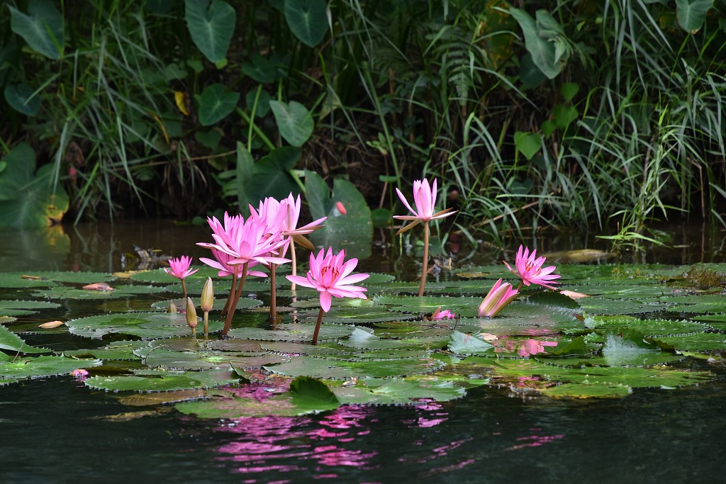 Vietnam - Trang An, výlet na loďkách, oblast Ninh Binh