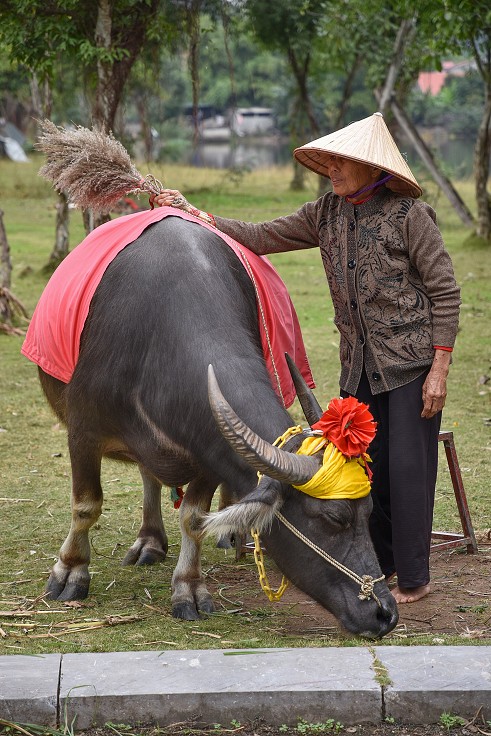 Vietnam - Hoa Lu, starověké hlavní město, oblast Ninh Binh