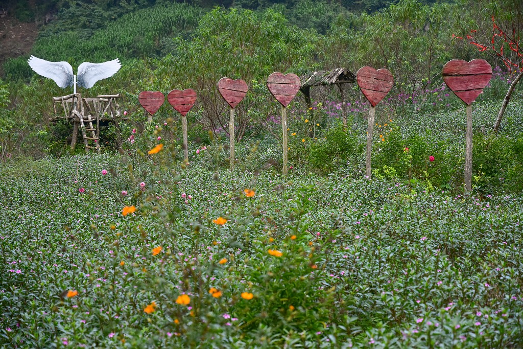 Vietnam - fotokulisy, u Moc Chau